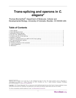 PDF version