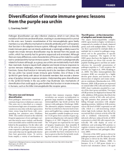 lessons from the purple sea urchin