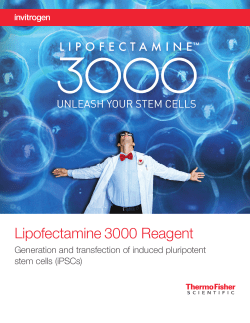 Generation and transfection of induced pluripotent stem cells