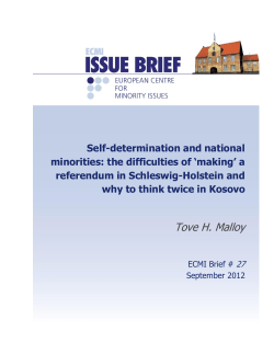 ECMI- Issue Brief # 27