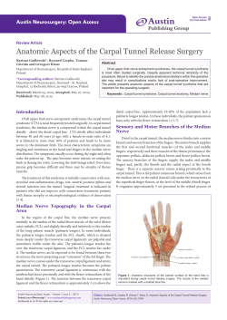 PDF - Austin Publishing Group