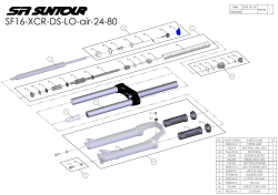 SF16-XCR-DS-LO-air-24-80