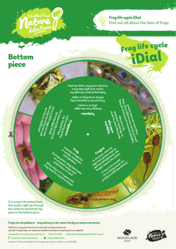 Frog life cycle iDial for kids – Nature Detectives