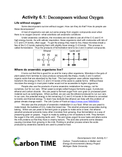 Activity 6.1: Decomposers without Oxygen