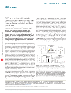 CRF acts in the midbrain to attenuate accumbens dopamine release