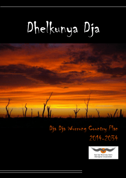 dhelkunya dja country plan