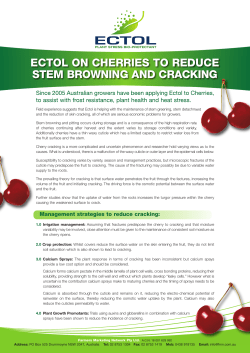 Cherry Trials - Stem Retention and Greening