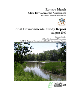 Rattray Marsh Environmental Study Report