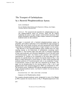 The Transport of Carbohydrates by a Bacterial Phosphotransferase