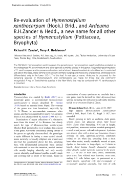 Re-evaluation of Hymenostylium xanthocarpum
