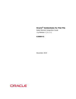 Oracle&reg; GoldenGate for Flat File
