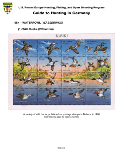 Guide to Hunting in Germany