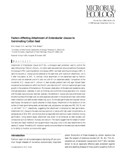 Factors Affecting Attachment of Enterobacter cloacae to Germinating