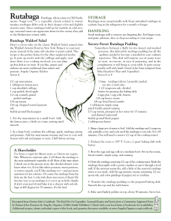 Rutabaga - Angelic Organics