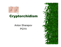 Cryptorchidism