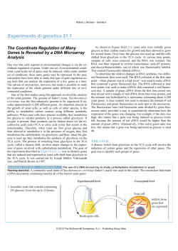 21.1 The Coordinate Regulation of Many Genes Is