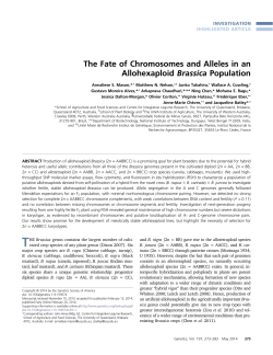 The Fate of Chromosomes and Alleles in an