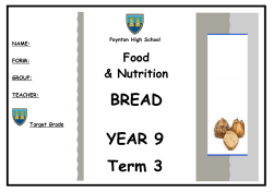 Yr. 9 2016-17 BREAD booklet PDF File