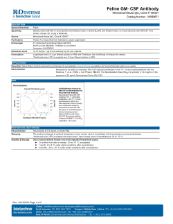 Feline GM-CSF Antibody