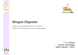 Biogas Digester - What is Tamera?