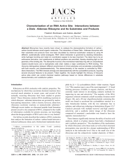 Characterization of an RNA Active Site: Interactions between a Diels