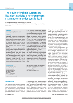 The equine forelimb suspensory ligament exhibits a heterogeneous