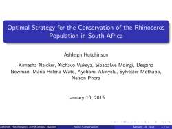 Optimal Strategy for the Conservation of the