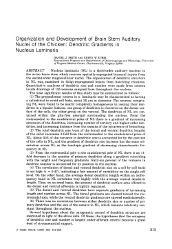 Organization and development of brain stem auditory nuclei of the
