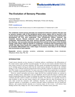 The Evolution of Sensory Placodes