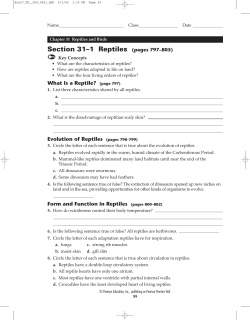 Section 31&ndash;1 Reptiles (pages 797&ndash;805)