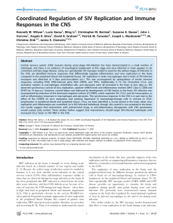 Coordinated Regulation of SIV Replication and Immune Responses