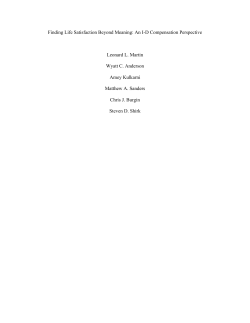 Finding Life Satisfaction Beyond Meaning