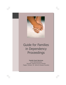 dependency proceeding - Seventh Judicial Circuit