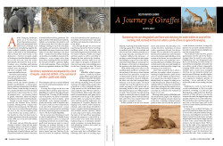 Read more - MalaMala Game Reserve