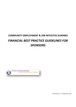 CE and JI Best Practice Guidelines