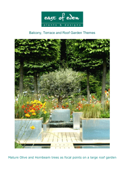 Balcony, Terrace and Roof Garden Themes