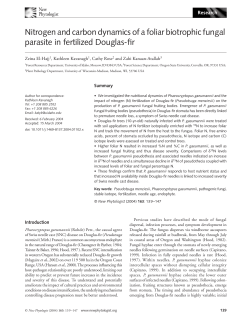 Nitrogen and carbon dynamics of a foliar biotrophic fungal parasite