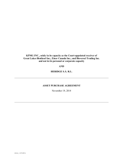 KPMG INC., solely in its capacity as the Court