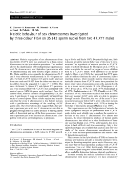 Meiotic behaviour of sex chromosomes investigated by three