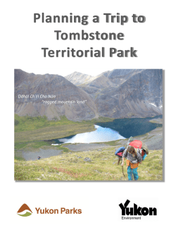 Planning a Trip to Tombstone Territorial Park