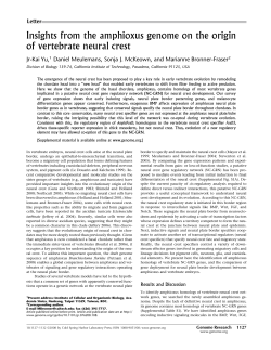 Insights from the amphioxus genome on the origin of vertebrate