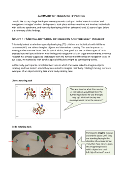 Summary of spatial abilities in WS