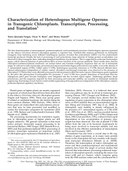 Characterization of Heterologous Multigene Operons in Transgenic