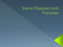 Swine Diseases and Parasites PDF