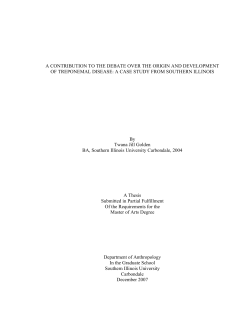 A CONTRIBUTION TO THE DEBATE OVER THE ORIGIN AND