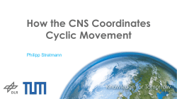 How the CNS Coordinates Cyclic Movement