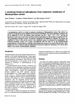 A membrane-bound pyrophosphatase from respiratory membranes