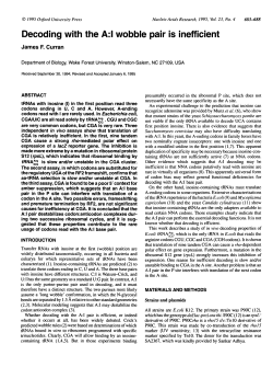 Decoding with the A:l wobble pair is inefficient