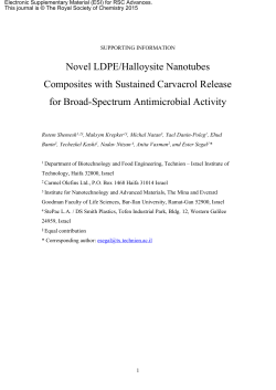 Novel LDPE/Halloysite Nanotubes Composites with Sustained