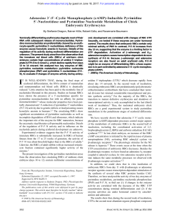 Adenosine 3 :5 -Cyclic Monophosphate (cAMP